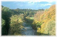 Almondell Country Park, West Lothian - an aerial view of the river closely bordered by trees on a sunny day
